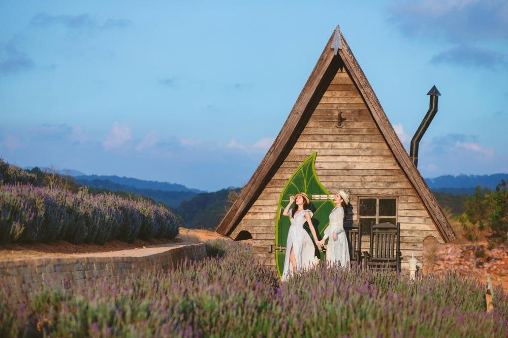 Cánh đồng hoa lavender là điểm check-in thu hút nhiều du khách